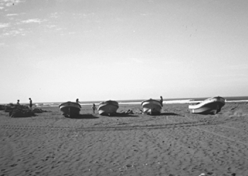 beach with boats