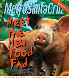 Metro Santa Cruz cover photo