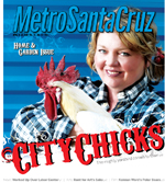 Metro Santa Cruz cover photo