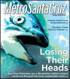 Metro Santa Cruz cover photo