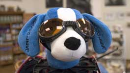 Think Pawsitive