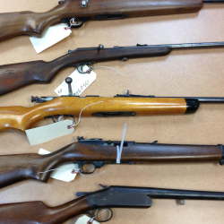news1gun