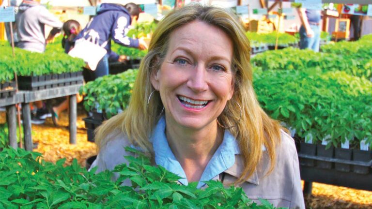 Tomato Queen