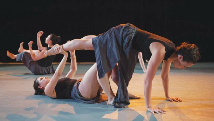 Best Of Santa Cruz County 2016 Editor’s Picks