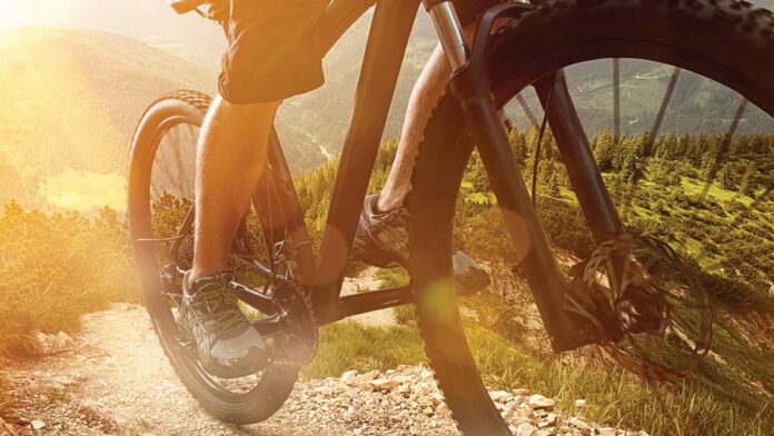 Best Of Santa Cruz County 2016 Health & Recreation