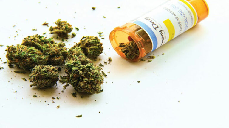 Why Parents are Giving Medical Cannabis to Their Kids