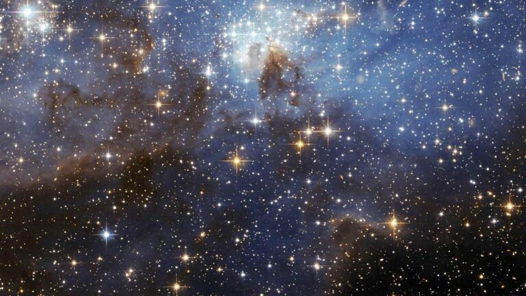 Rob Brezsny’s Astrology June 29—July 5