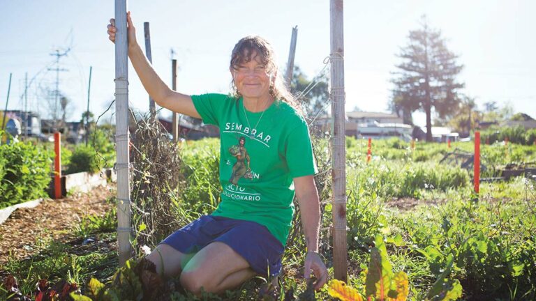 Soil For All