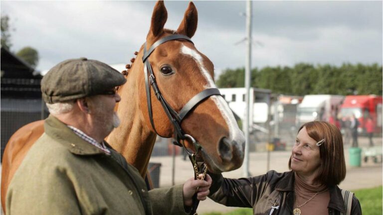 Film Review: ‘Dark Horse’