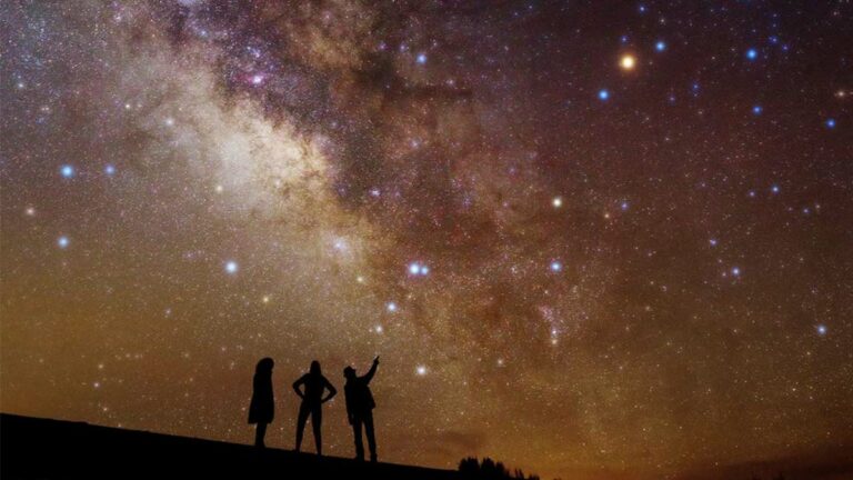 Risa’s Stars June 29—July 5