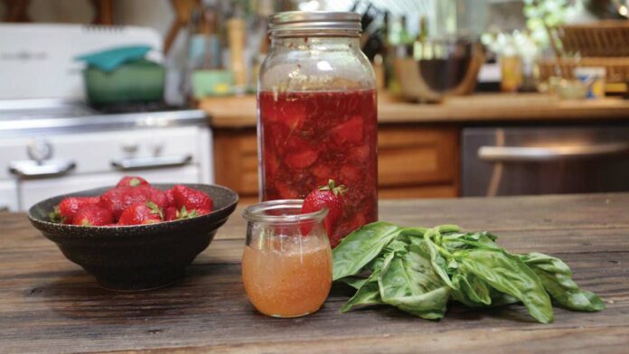 How Shrubs are Transforming Summer Cocktails vinegar fruit shrubs
