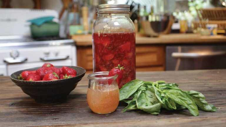 How Shrubs are Transforming Summer Cocktails