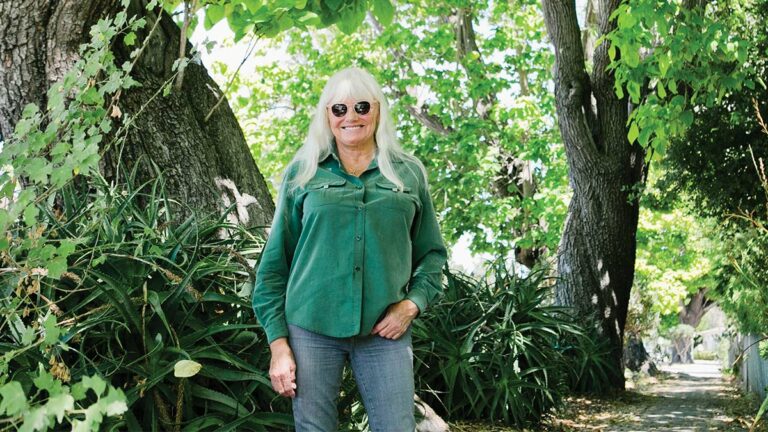 Does Santa Cruz Deserve its ‘Tree City, USA’ Designation?