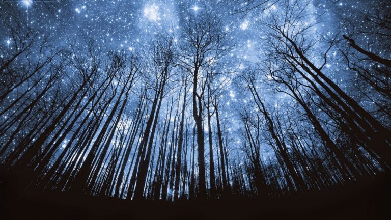 Venus, Evening Star, Calling Us to Vespers