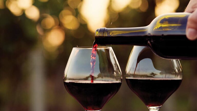 Dancing Creek Winery’s 2009 Merlot
