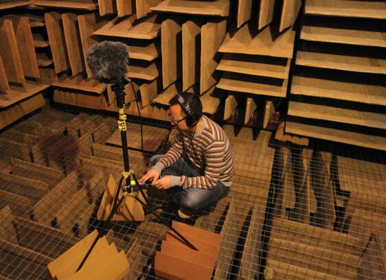 Silence and Noise on the Brain