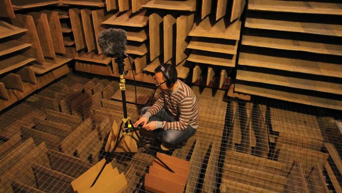 Silence and Noise on the Brain