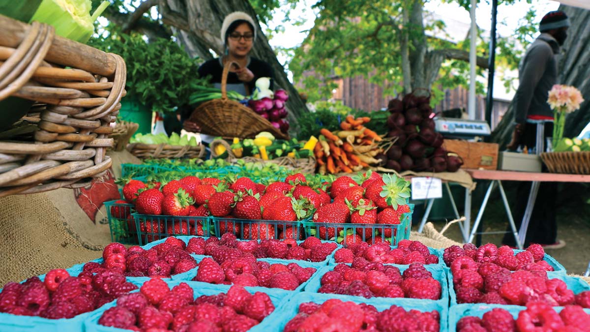 UCSC farmstand strawberries