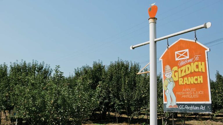 What’s Happening to Santa Cruz’s Olallieberries