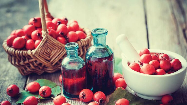 Beginner’s Guide to the Potent World of Herbs