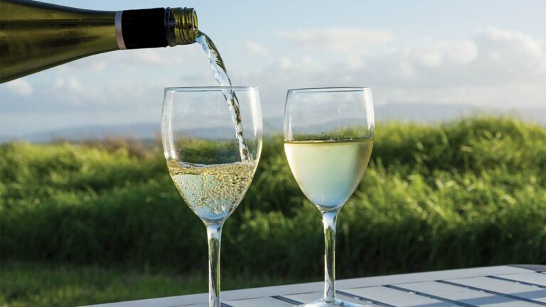 Sarah’s Vineyard Madonne Blanc