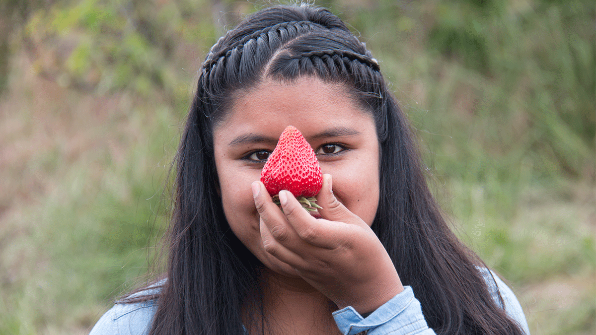 A young girl holds a strawberry