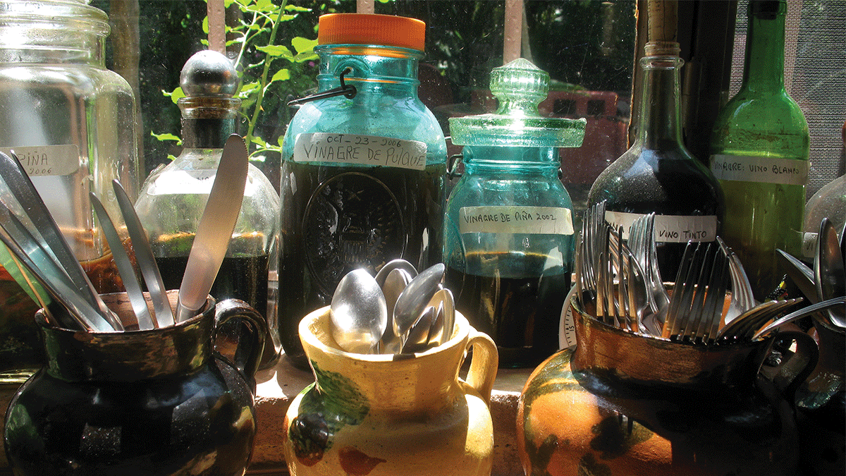 Jars in the sunlight