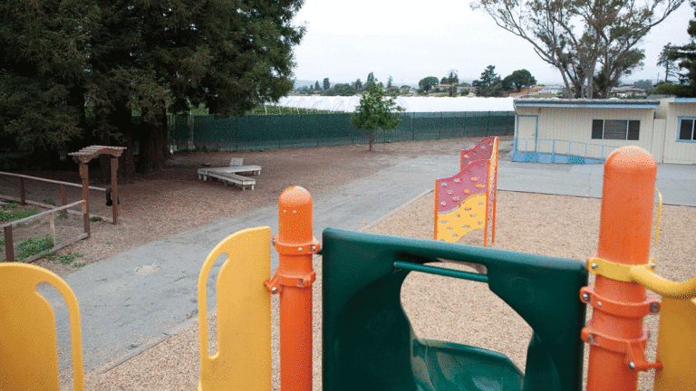 Critics Call for Stricter Rules on Pesticides Near Schools