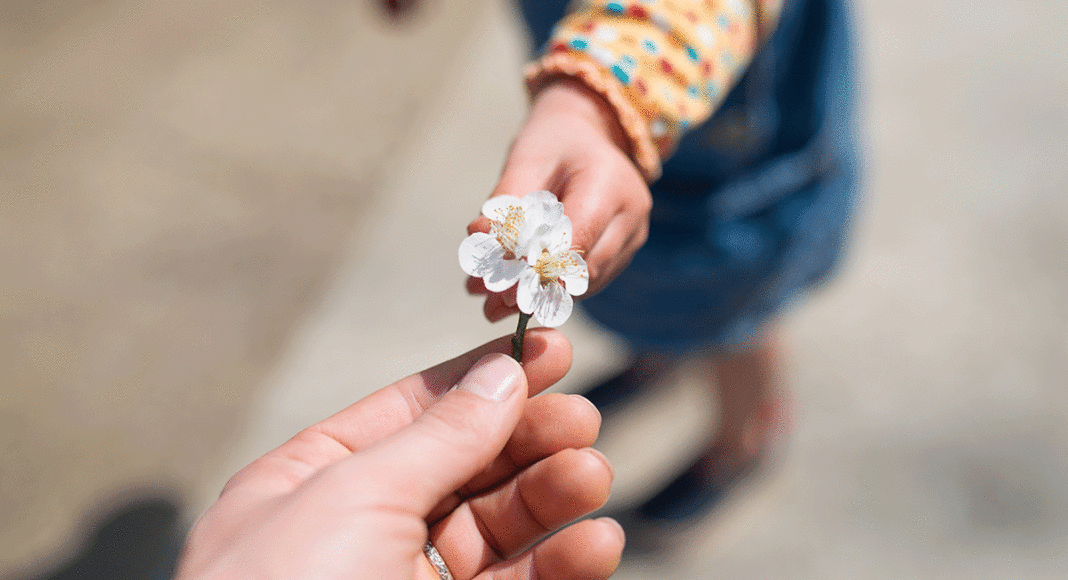 child gives flower to adult