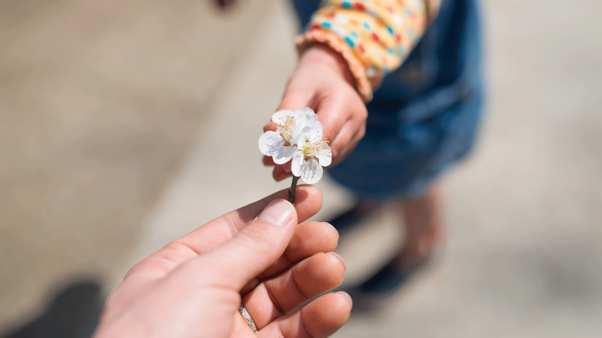 child gives flower to adult