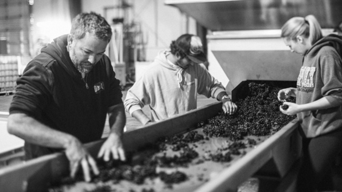 El Lugar Wines making wine