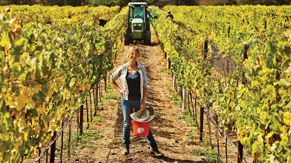Pamela Storrs in the vineyard