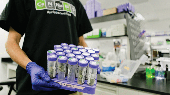 The Not-So-Clear Future of Legalized Pot SC Labs