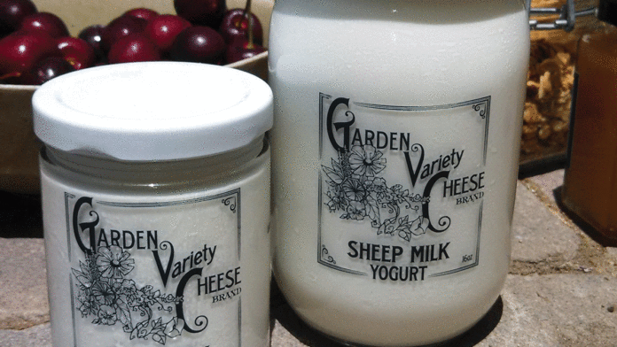 Garden Variety Cheese at Local Markets Garden Variety Cheese sheep's milk yogurt