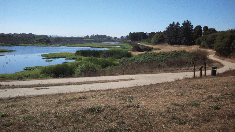 5 Things to Do in Santa Cruz This Week