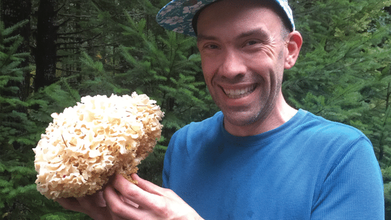 Chef Mazi on How To Cook Mushrooms