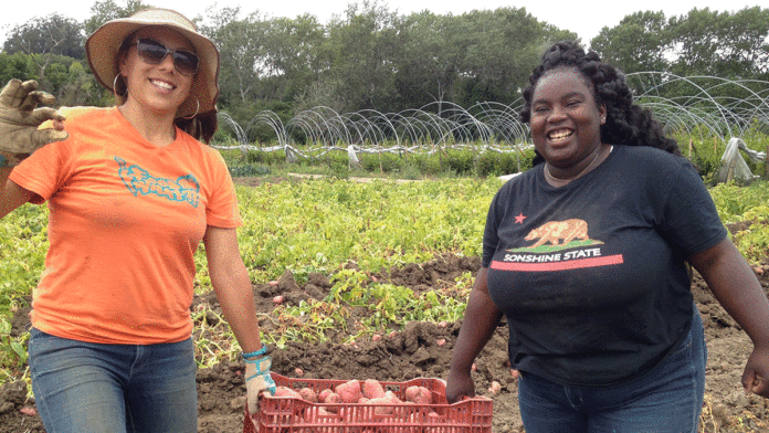 Opinion January 25, 2017