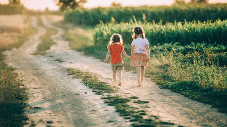 The Resilience of Sibling Relationships