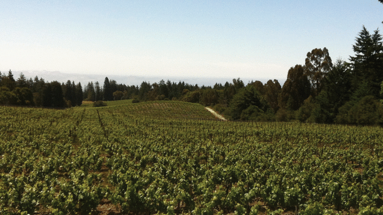 Beauregard Vineyards’ Bald Mountain Chardonnay
