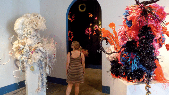 Crochet Coral Reef Exhibit Combines Crafts and Conservation Crochet Coral Reef UCSC