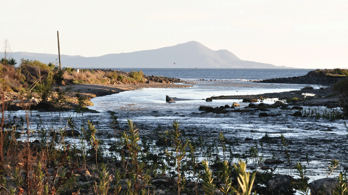 save the waves - Mexicoâ€™s San Miguel River