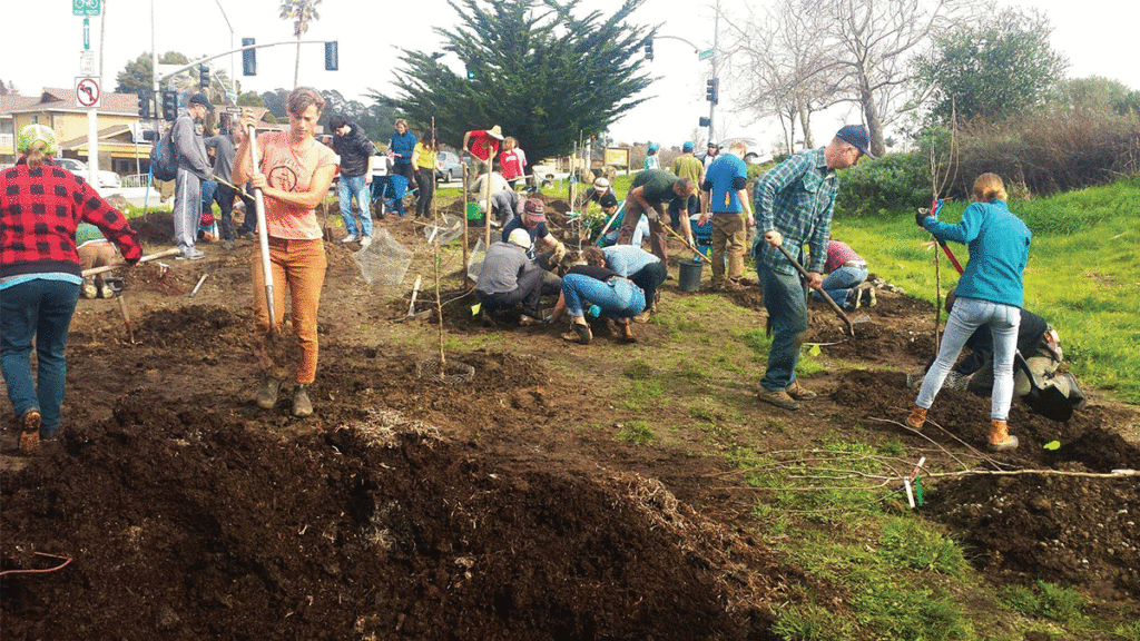 Santa Cruz Fruit Tree Project