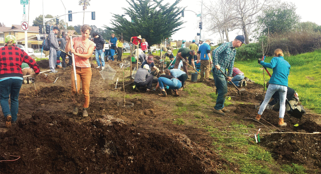 Santa Cruz Fruit Tree Project