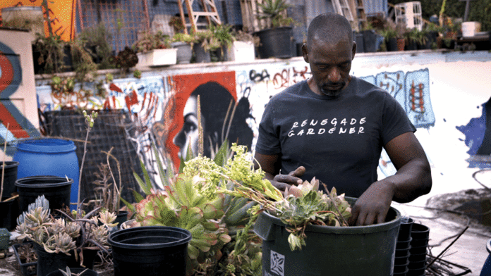 6 Things to Do in Santa Cruz This Week