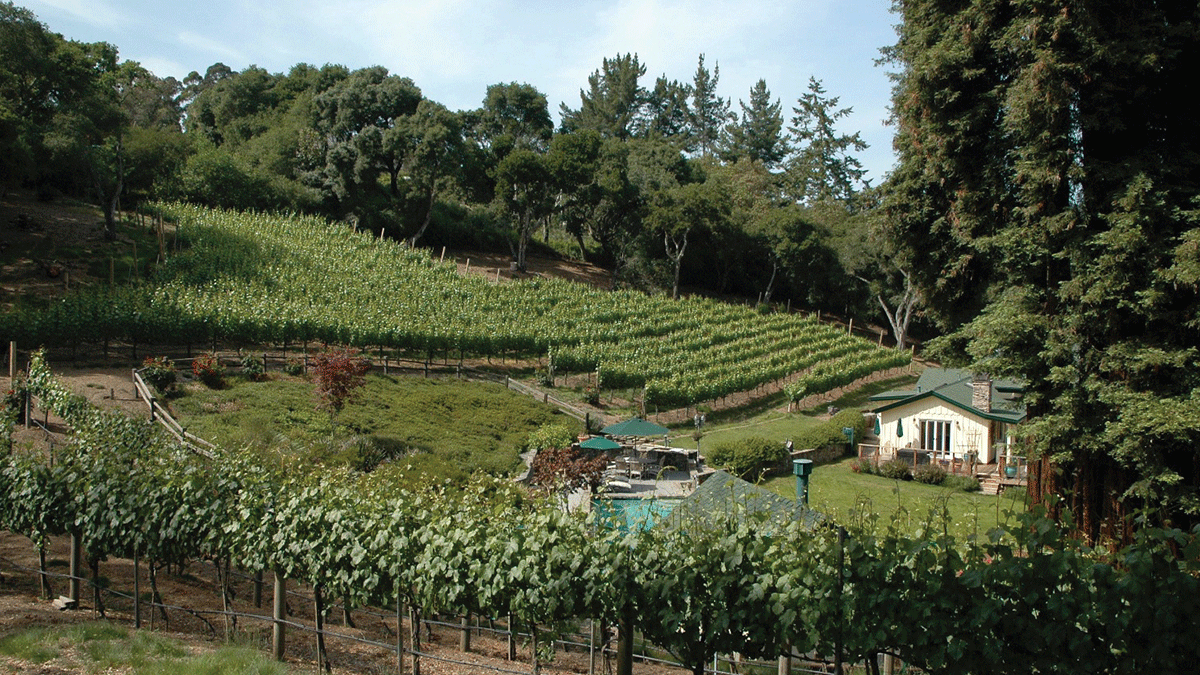 Pleasant Valley Vineyards