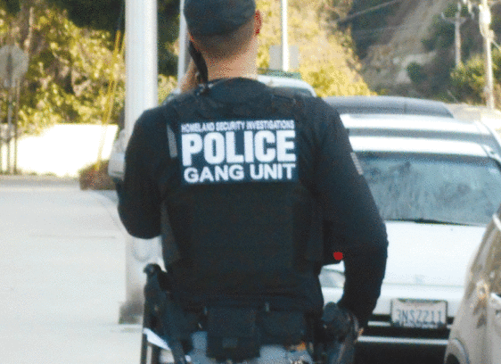 Santa Cruz Police Department On Recent ICE Raids SCPD responds to ICE raids