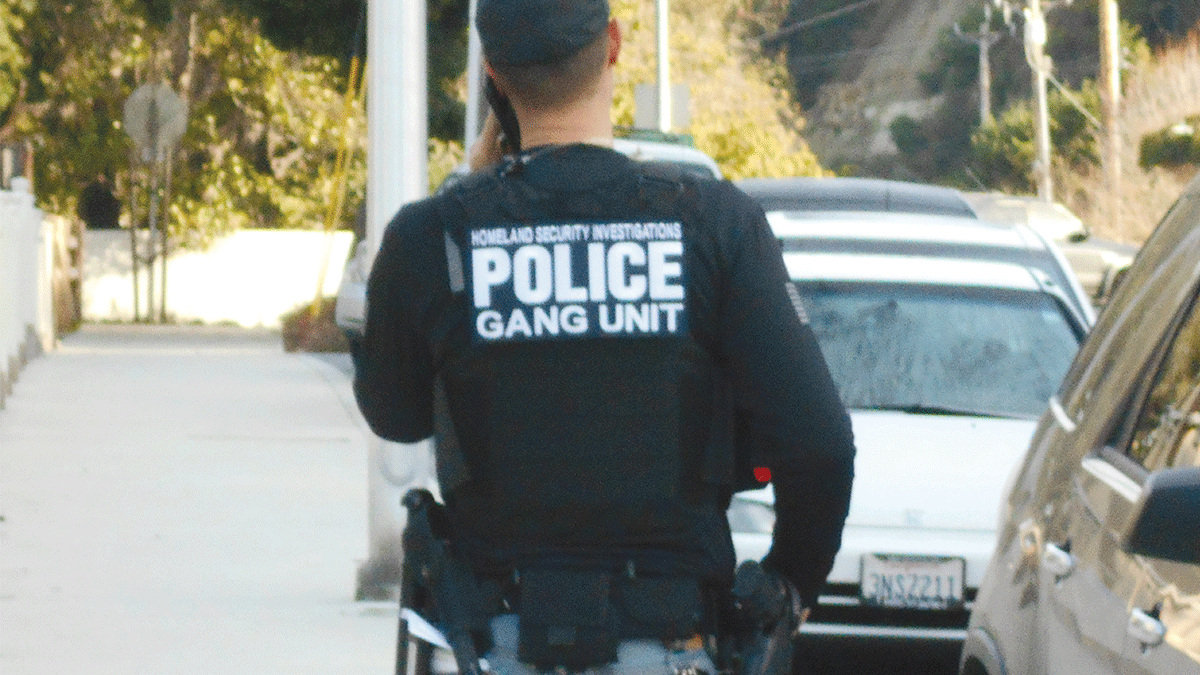 SCPD responds to ICE raids