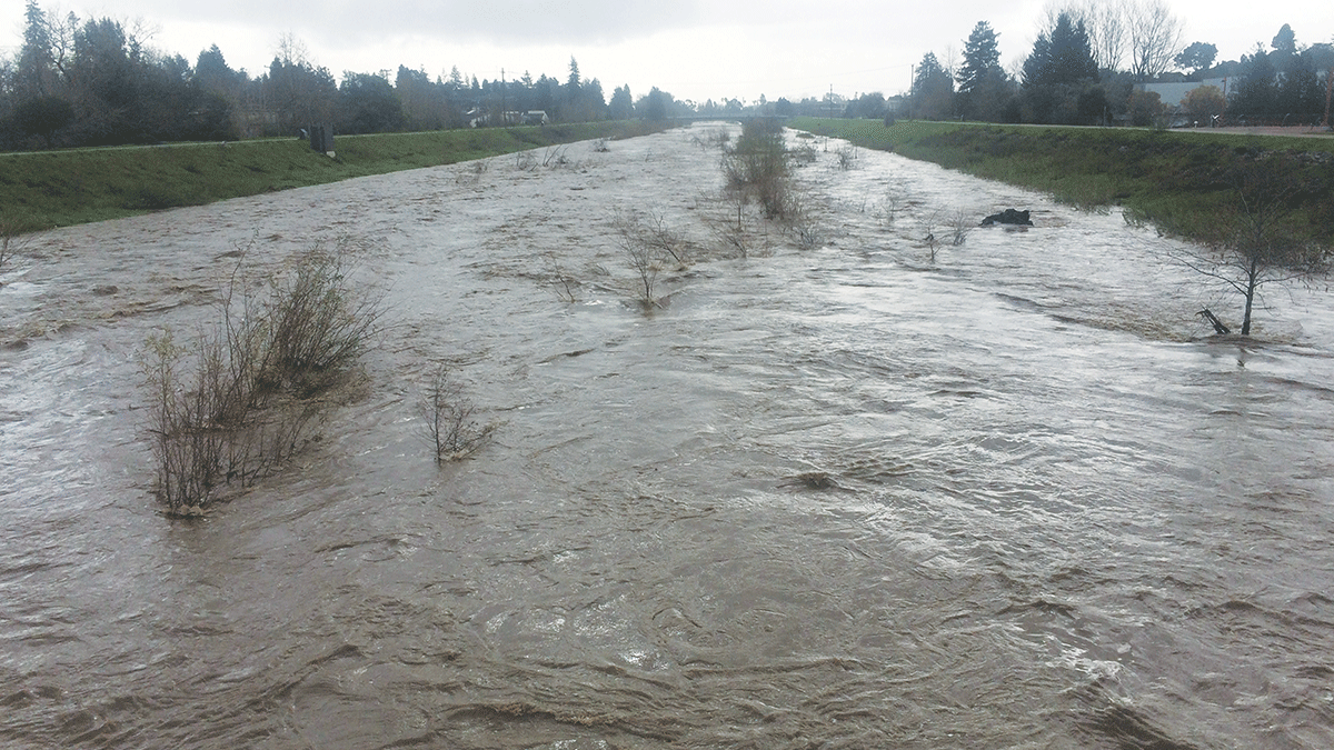 Santa Cruz water - San Lorenzo River