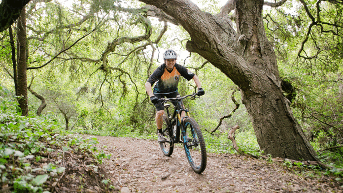 Opinion March 29, 2017