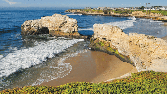 6 Things To Do In Santa Cruz This Week